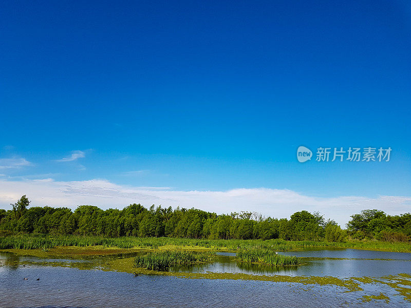 马德罗港Costanera Sur生态保护区海岸